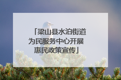 梁山县水泊街道为民服务中心开展惠民政策宣传