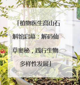 植物医生高山石斛馆启幕：解码仙草奥秘，践行生物多样性发展