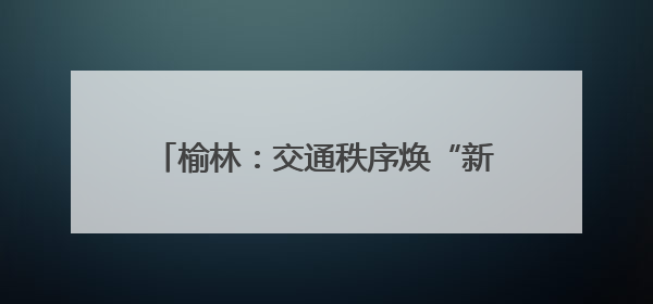榆林：交通秩序焕“新” 人车出行有“礼”