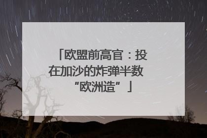 欧盟前高官：投在加沙的炸弹半数“欧洲造”