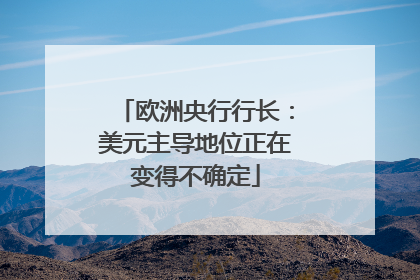 欧洲央行行长：美元主导地位正在变得不确定