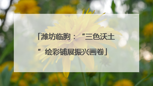 潍坊临朐：“三色沃土”绘彩铺展振兴画卷
