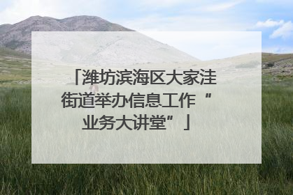 潍坊滨海区大家洼街道举办信息工作“业务大讲堂”