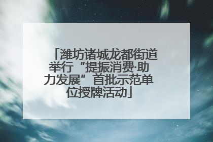 潍坊诸城龙都街道举行“提振消费·助力发展”首批示范单位授牌活动