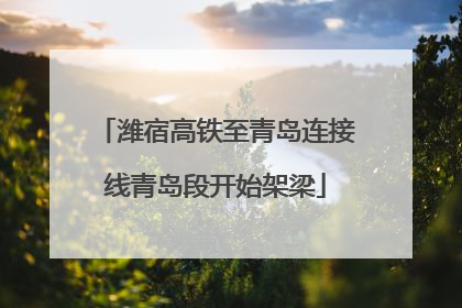 潍宿高铁至青岛连接线青岛段开始架梁