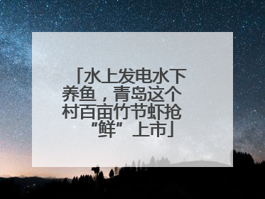 水上发电水下养鱼，青岛这个村百亩竹节虾抢“鲜”上市