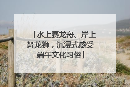 水上赛龙舟、岸上舞龙狮，沉浸式感受端午文化习俗