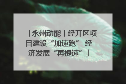 永州动能丨经开区项目建设“加速跑” 经济发展“再提速”