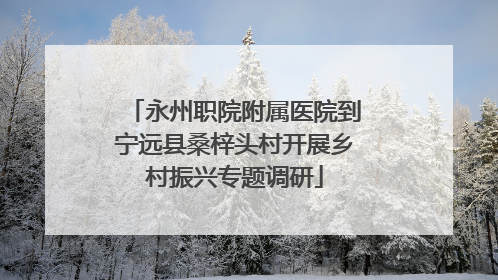 永州职院附属医院到宁远县桑梓头村开展乡村振兴专题调研