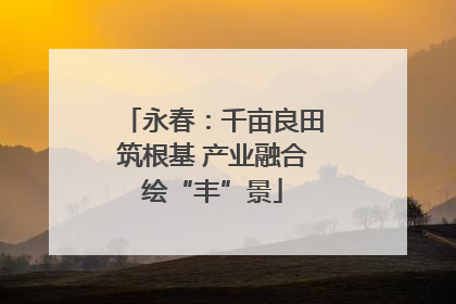 永春：千亩良田筑根基 产业融合绘“丰”景