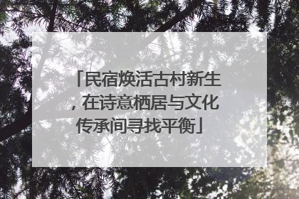 民宿焕活古村新生，在诗意栖居与文化传承间寻找平衡