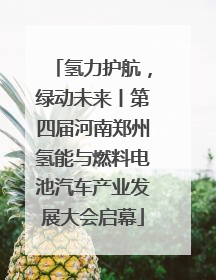 氢力护航，绿动未来丨第四届河南郑州氢能与燃料电池汽车产业发展大会启幕