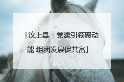 汶上县：党建引领聚动能 组团发展促共富