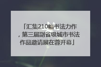 汇集210幅书法力作，第三届副省级城市书法作品邀请展在蓉开幕