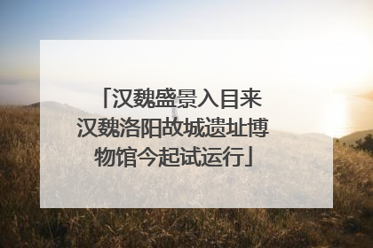 汉魏盛景入目来 汉魏洛阳故城遗址博物馆今起试运行