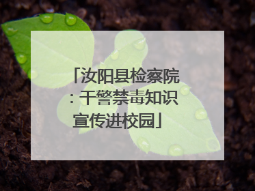 汝阳县检察院：干警禁毒知识宣传进校园