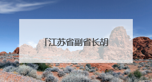 江苏省副省长胡彬郴，分工明确