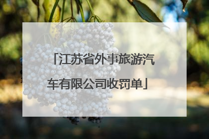江苏省外事旅游汽车有限公司收罚单
