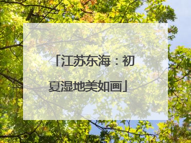 江苏东海：初夏湿地美如画