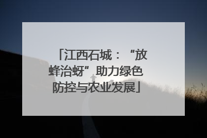 江西石城：“放蜂治蚜”助力绿色防控与农业发展