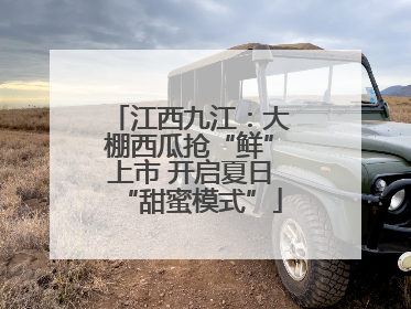江西九江：大棚西瓜抢“鲜”上市 开启夏日“甜蜜模式”