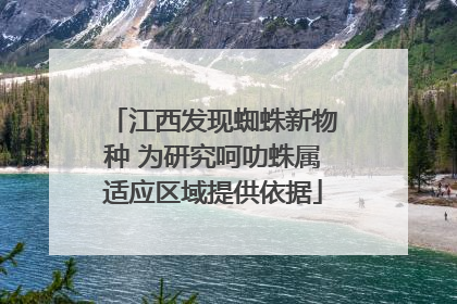 江西发现蜘蛛新物种 为研究呵叻蛛属适应区域提供依据