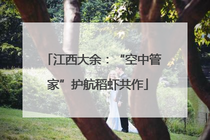 江西大余：“空中管家”护航稻虾共作
