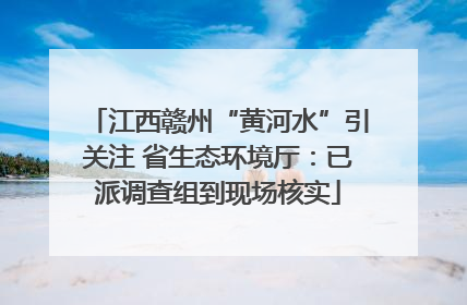 江西赣州“黄河水”引关注 省生态环境厅：已派调查组到现场核实
