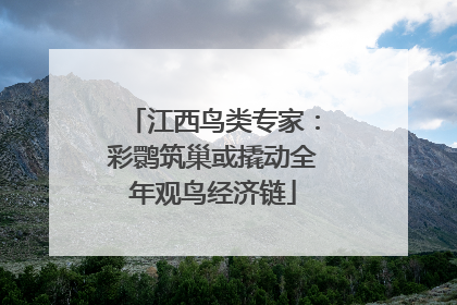 江西鸟类专家：彩鹮筑巢或撬动全年观鸟经济链