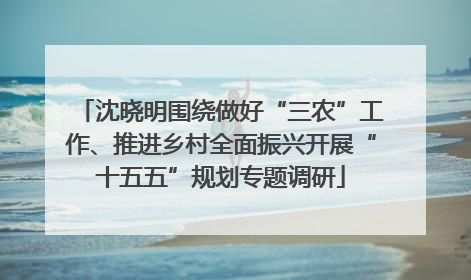 沈晓明围绕做好“三农”工作、推进乡村全面振兴开展“十五五”规划专题调研