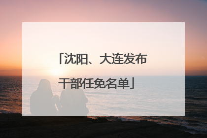 沈阳、大连发布干部任免名单