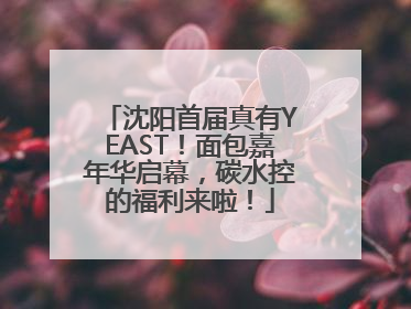 沈阳首届真有YEAST！面包嘉年华启幕，碳水控的福利来啦！