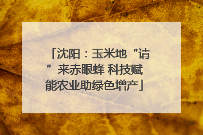 沈阳：玉米地“请”来赤眼蜂 科技赋能农业助绿色增产