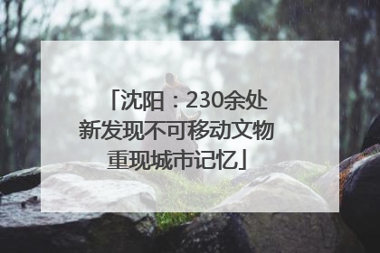 沈阳：230余处新发现不可移动文物重现城市记忆