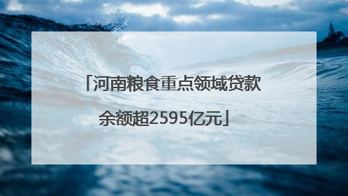 河南粮食重点领域贷款余额超2595亿元