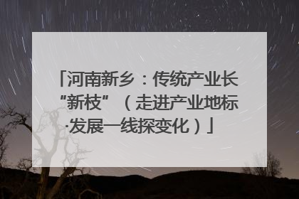 河南新乡：传统产业长“新枝”（走进产业地标·发展一线探变化）