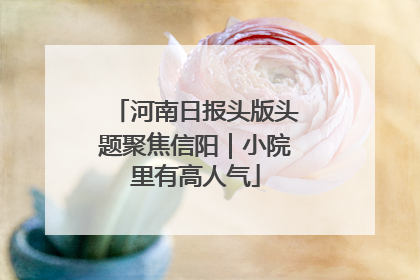 河南日报头版头题聚焦信阳｜小院里有高人气