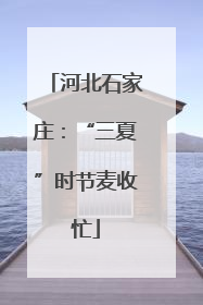 河北石家庄：“三夏”时节麦收忙