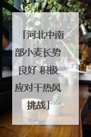 河北中南部小麦长势良好 积极应对干热风挑战