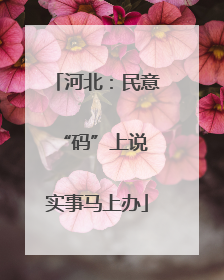 河北：民意“码”上说 实事马上办