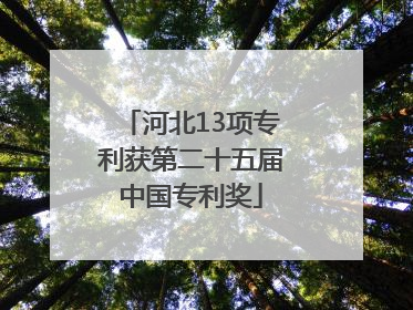 河北13项专利获第二十五届中国专利奖