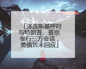 泽连斯基呼吁与特朗普、普京举行三方会谈，美俄暂未回应