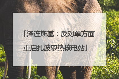泽连斯基：反对单方面重启扎波罗热核电站