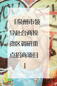 泉州市领导赴台商投资区调研重点招商项目