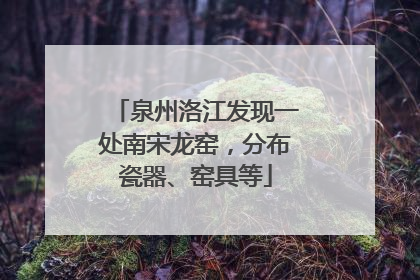 泉州洛江发现一处南宋龙窑，分布瓷器、窑具等