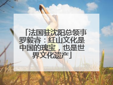 法国驻沈阳总领事罗毅睿：红山文化是中国的瑰宝，也是世界文化遗产