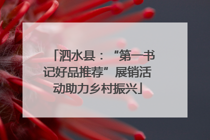 泗水县：“第一书记好品推荐”展销活动助力乡村振兴