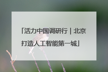 活力中国调研行｜北京打造人工智能第一城