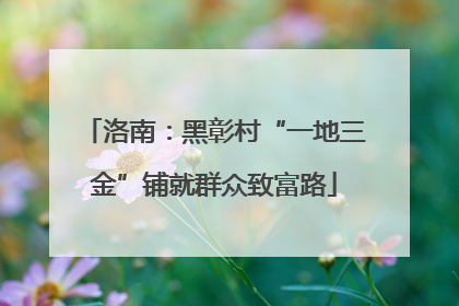洛南：黑彰村“一地三金”铺就群众致富路