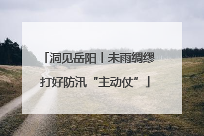 洞见岳阳丨未雨绸缪 打好防汛“主动仗”